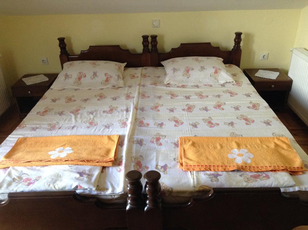 Pansion Velickovic Apartment Niska Banja Cameră foto