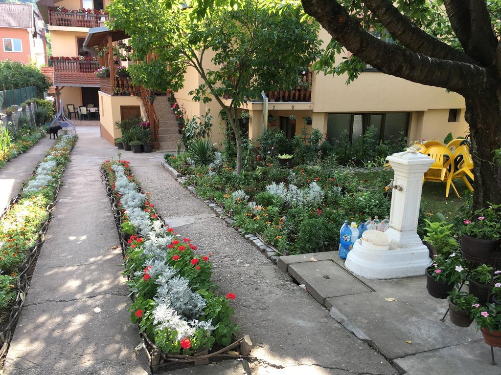 Pansion Velickovic Apartment Niska Banja Exterior foto