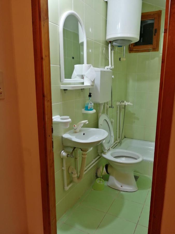Pansion Velickovic Apartment Niska Banja Exterior foto