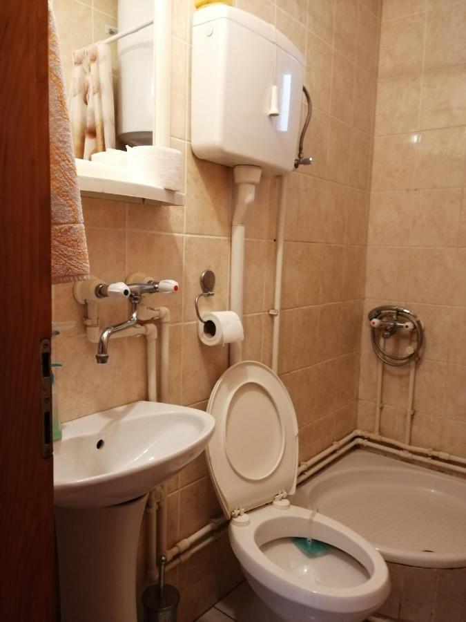 Pansion Velickovic Apartment Niska Banja Exterior foto